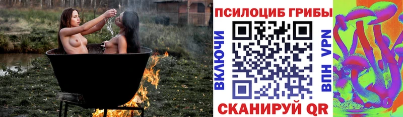 Псилоцибиновые грибы Cubensis  цены наркотик  Новоаннинский 